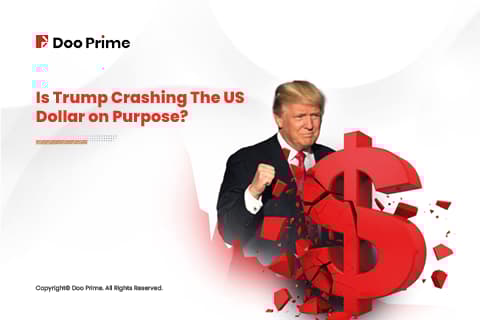 Trump US Dollar cover